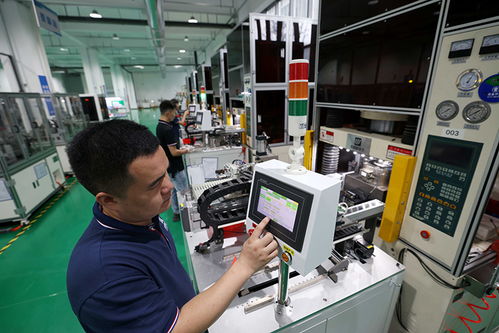 安徽合肥 培育科技型中小企業，以計算機軟硬件技術開發推動高質量發展